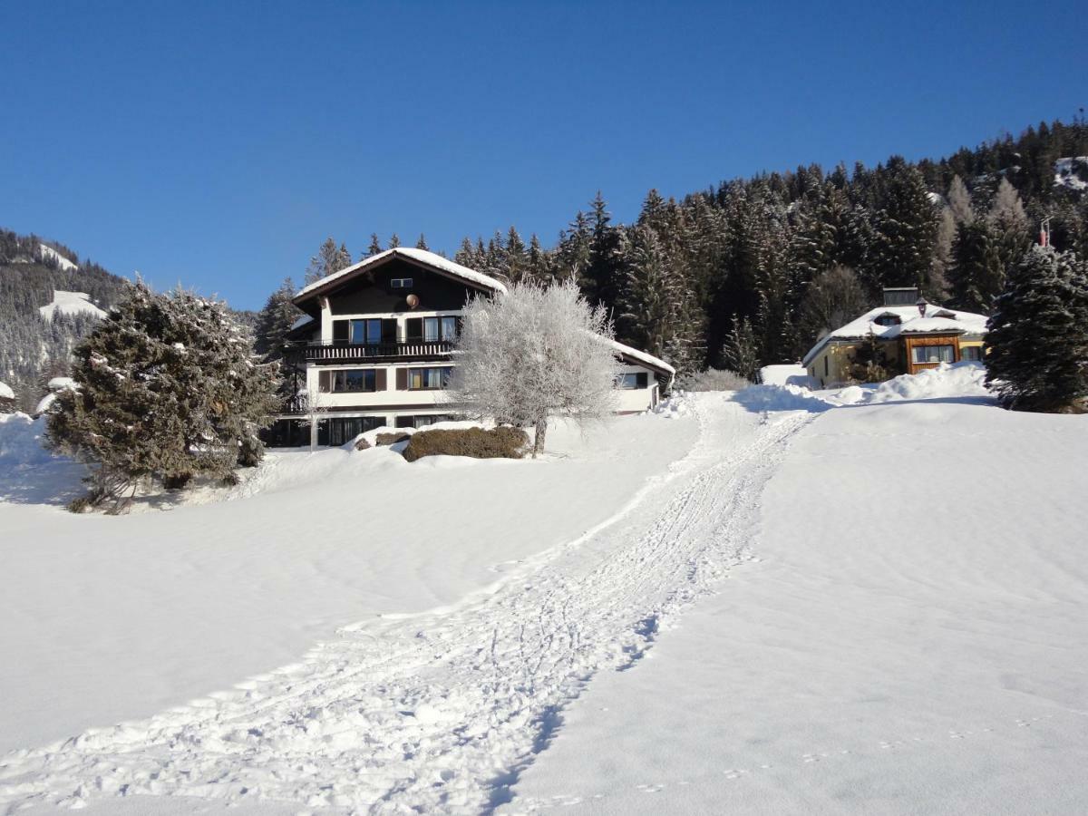 Fuchs Apartment Bad Mitterndorf